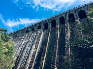 11月份我到底在做些什么事-去看你博客