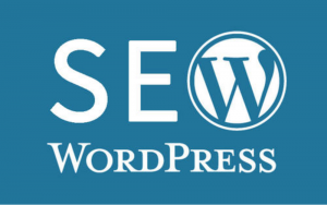 免费分享一款收费WordPress SEO插件-去看你博客