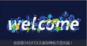 WordPress添加文章页面访问次数+美化-去看你博客