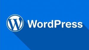 WordPress 如何为媒体添加自定义字段-去看你博客