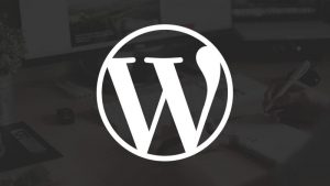 WordPress技巧:获取统计文章内图片数量-去看你博客