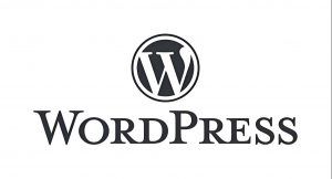 如何查看WordPress网站使用的是哪一款主题?-去看你博客